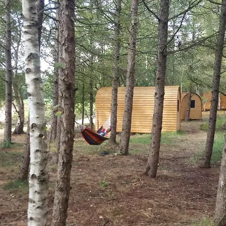 Glamping Pod Im Wald Mit Einzelbetten مكان تخييم نوردولز
